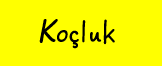 Koçluk