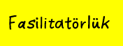 Fasilitatörlük